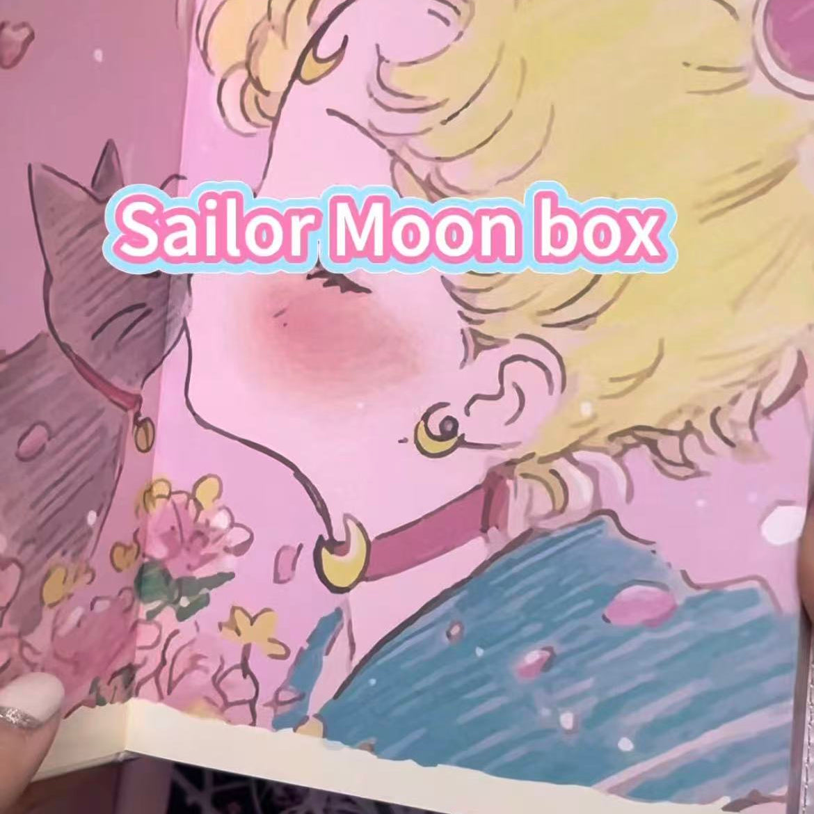 Sailor Moon sets box